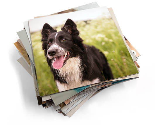 Друк на магнітах